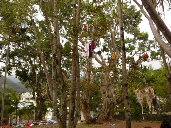 Tres beau spetacle final de POC POC, dans son arbre, ce personnae original fait des envolées spectaculaires! Un cirque mais dans les arbres, magique !!!