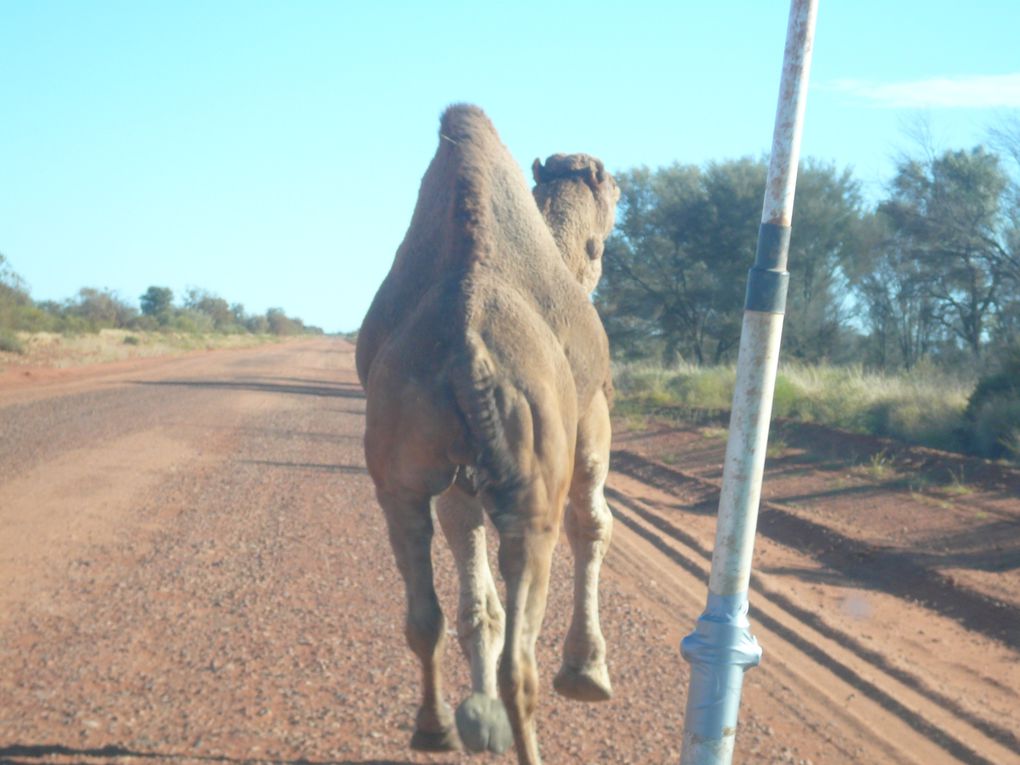 Album - From-Alice-Springs-to-Broome