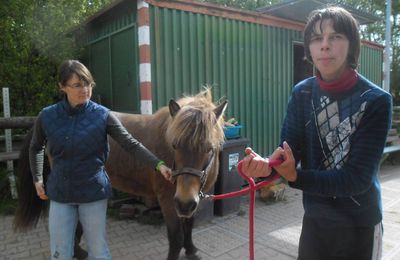 PROGRESSER AVEC LE CHEVAL