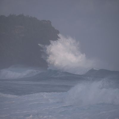 "Les paradis blancs"
