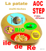 L'île de Ré et sa patate bio AOC-STEP (Station d'épuration)