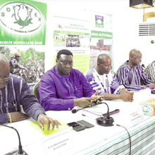 La production de coton du Burkina Faso s'effondre après l'élimination progressive des OGM