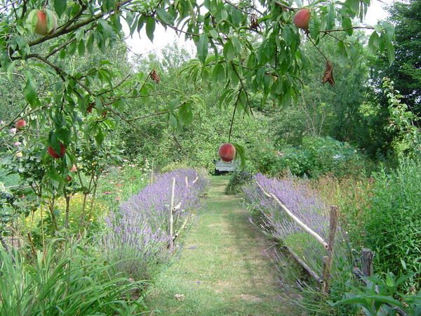 Balade dans le jardin