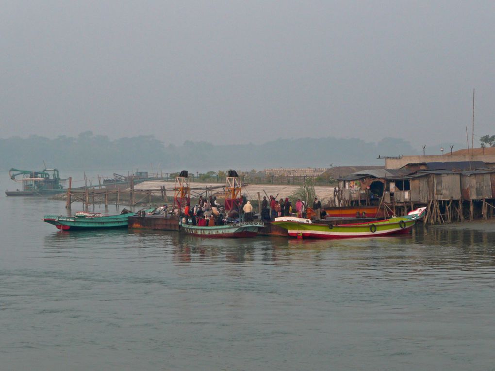 Voyage au Bangladesh (Dhaka et les Sunderbans) décembre 2010-Janvier 2011