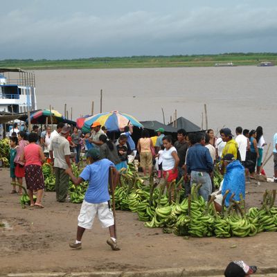Périple vers l'Amazonie péruvienne : Pucallpa