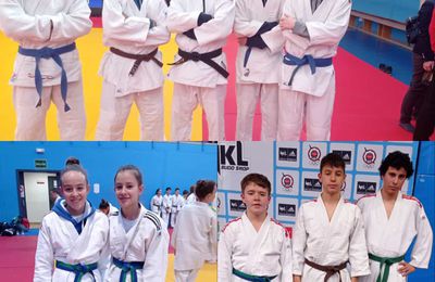 Resultados del Zonal 4 infantil y cadete Judo Alcorcón Carlos Arroyo