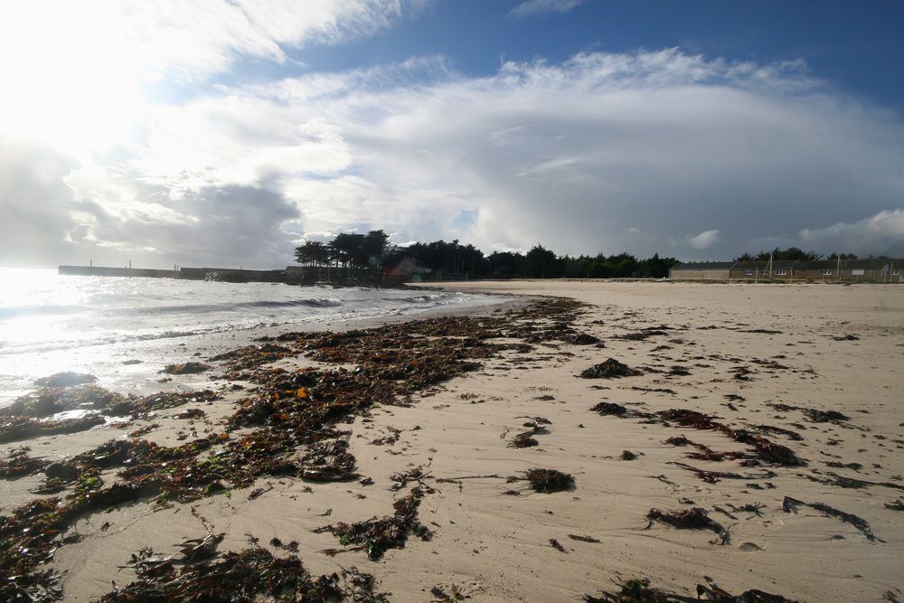 Hiver en Loire-Atlantique