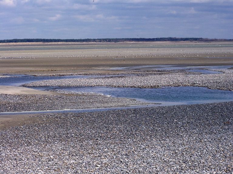 La baie de Somme