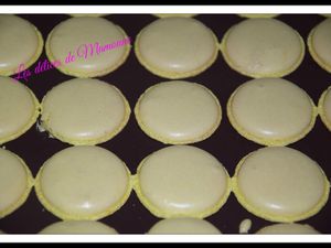 Mes macarons au cook'in 