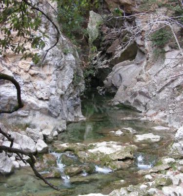 Pêche a la mouche sur la siagne