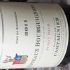 Coteaux Bourguignons_Pinot noir_Domaine Castagnier_2011