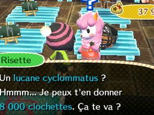 Cinquième journée