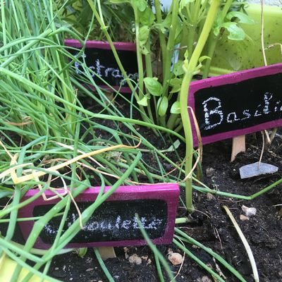 Ardoises du mini-potager