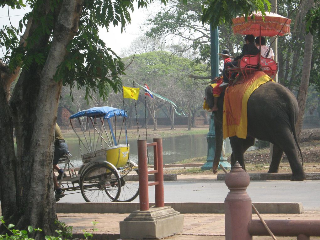 Album - 15-Thailande-ayutthaya-sukhothai