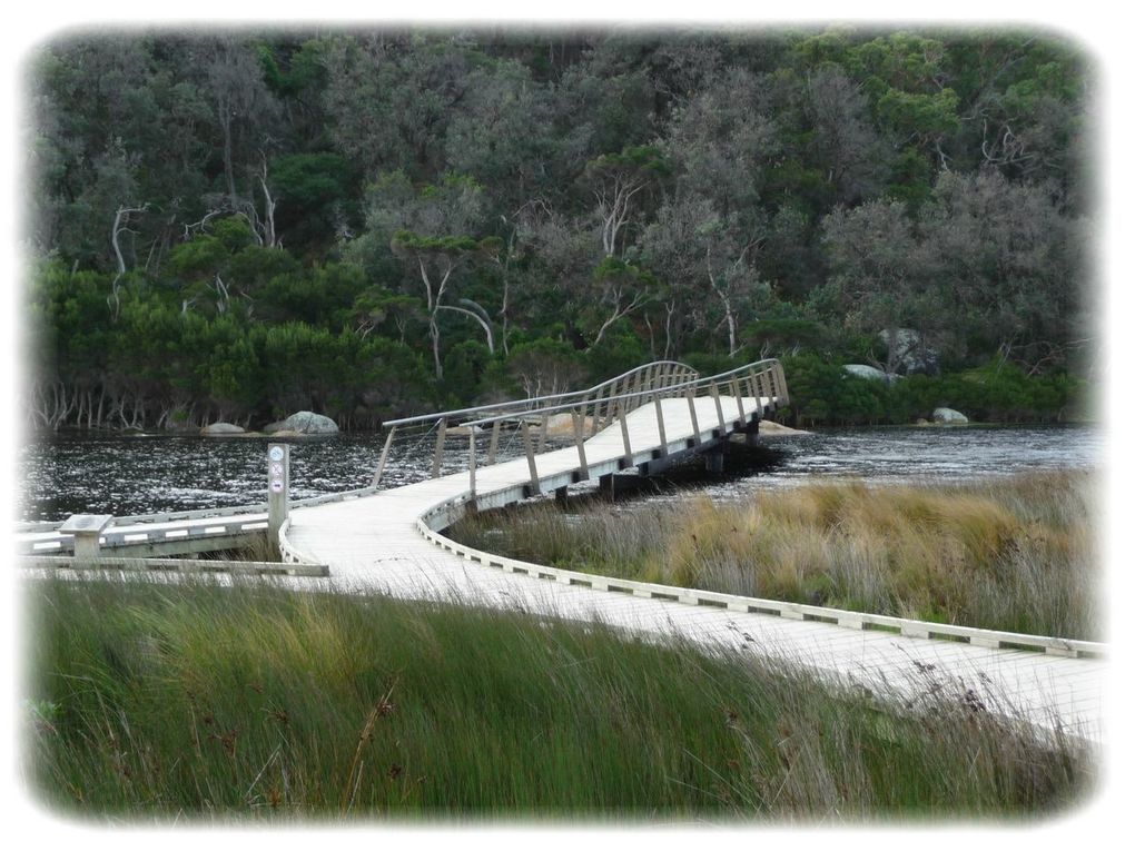 Album - Wilsons-Promontory