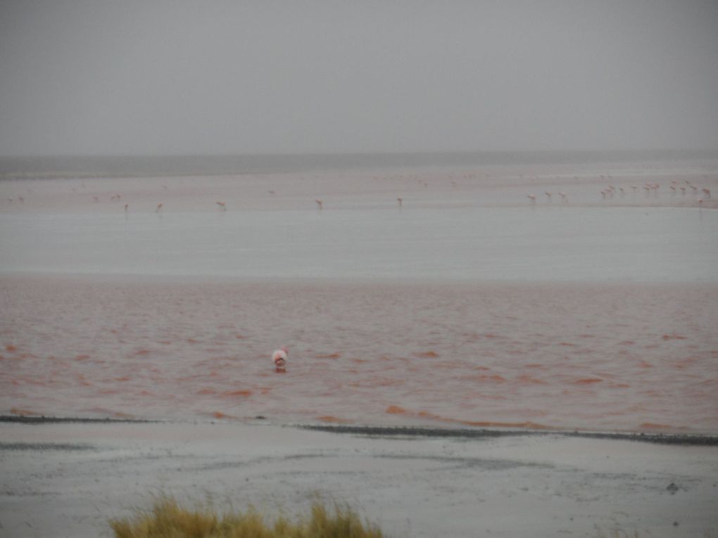 Album - Uyuni-et-ses-environs