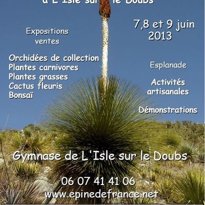 EPINE DE FRANCE : 6ème édition de la Saint-Hyp'aux Cactus, Gymnase L'Isle/Doubs, 7, 8 et 9 juin 2013