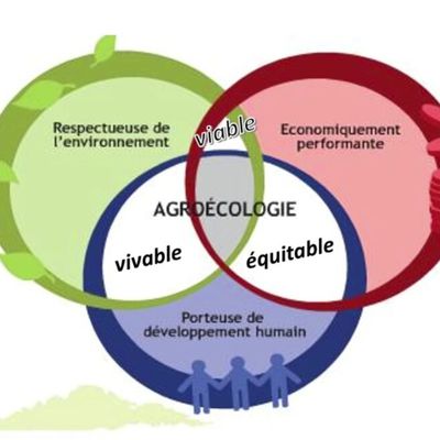 Agroécologie : Tout est dit !