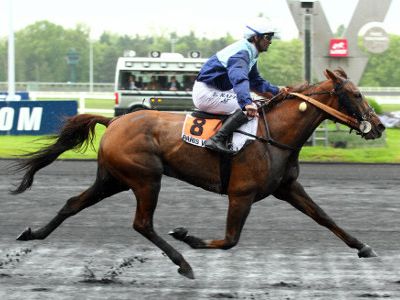 STRATEGIE COUPLE / TIERCE DU 18/09/2023