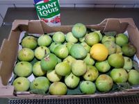 1 - Laver et éplucher les figues. Les couper en 4. Les placer dans un faitout ou une bassine à confiture. Ajouter la totalité du sucre, le jus d'1/2 citron jaune et la pincée de vanille en poudre. 