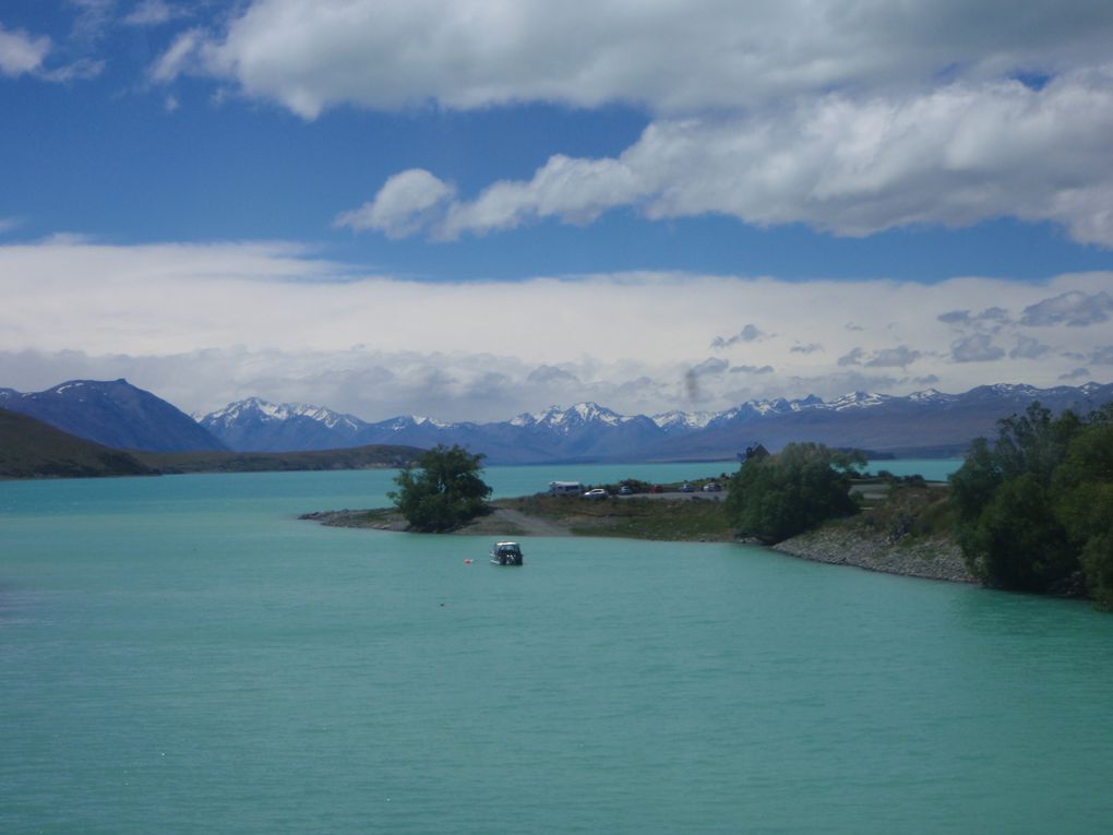 Album - SOUTH-NEW-ZEALAND