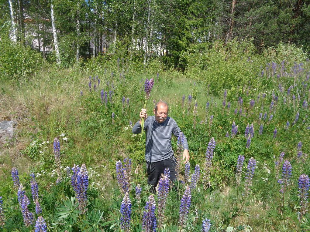 le chemin des écoliers jusqu'au camping d'Eksjö