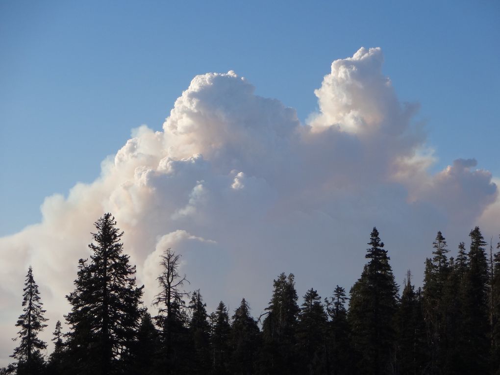 Le Yosemite National Park, Californie