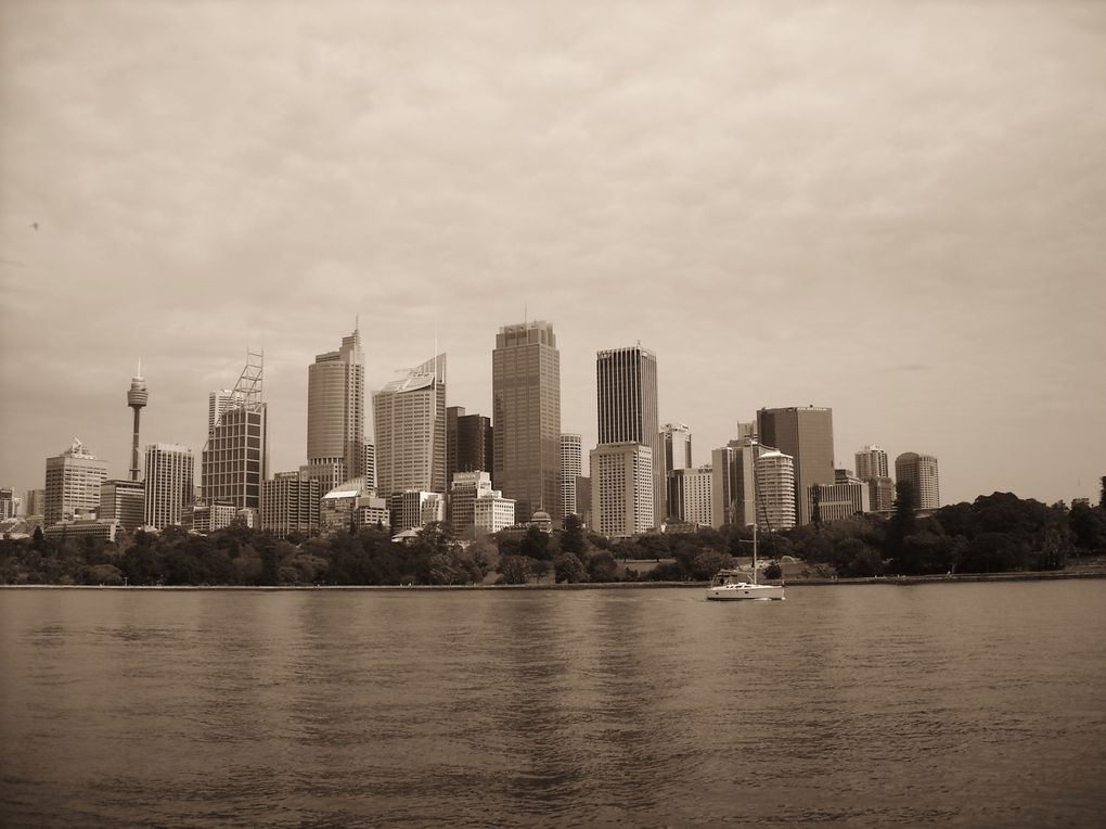 Album - Sydney-Black-and-White