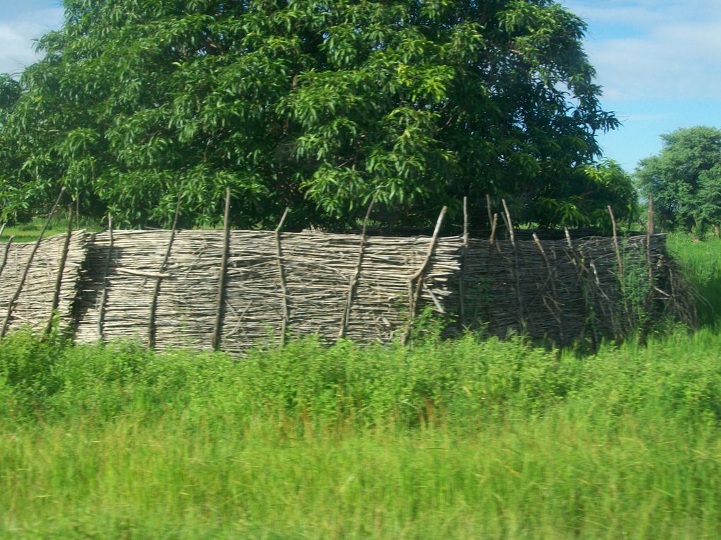 Découverte de la région de l'Est, tout près des frontières nigérienne et béninoise et presque au coeur des parc de l'Arly et du W...