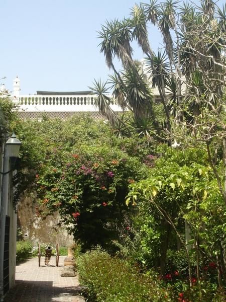 Album - Dar El Makhzen, jardin