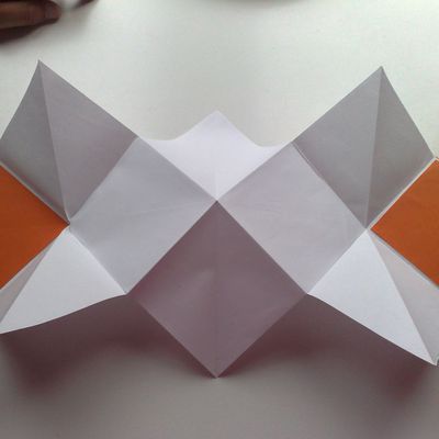 Fold-out (1er)