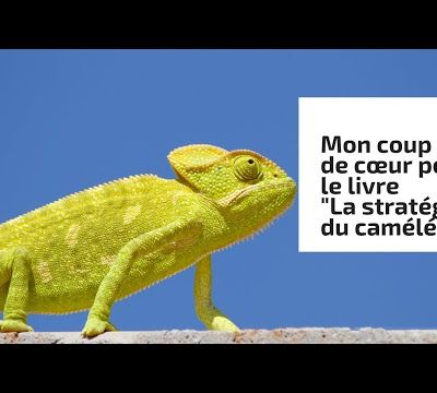 La stratégie du Caméléon : un livre à emporter à la plage pour se former à mieux communiquer tout en souriant 