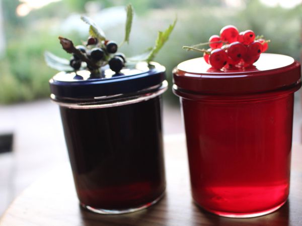 Gelées de cassis et groseilles