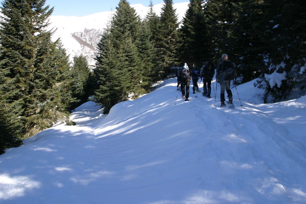 Album - Ardengost-.Col-Cap-de-Cros.-17-fevrier-2013