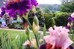 Le jardin de mes parents