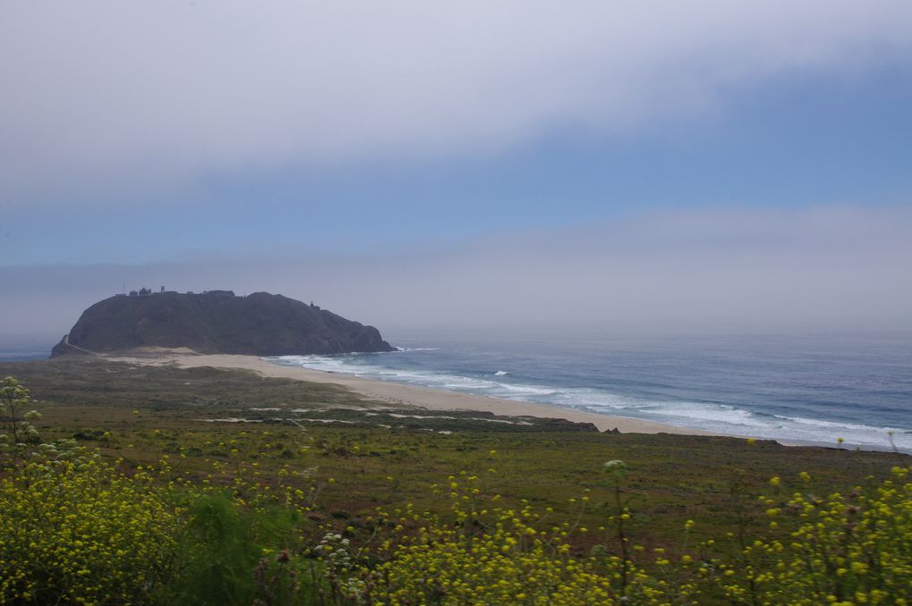 USA Road Trip - Jour 06/25 - Carmel By The Sea / Pismo Beach