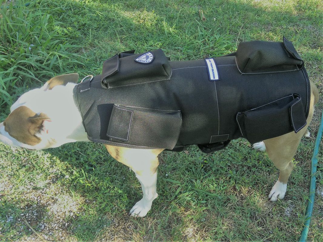 Best tactical vest for dogs