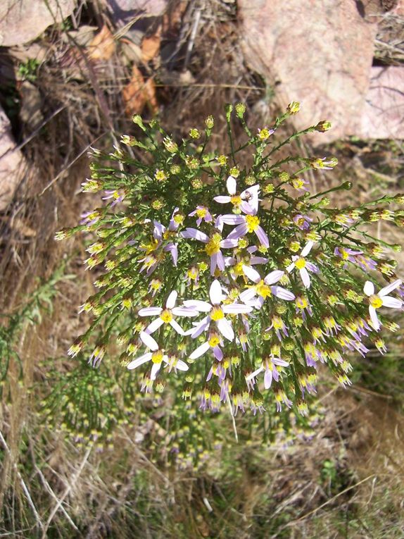 Photos personnelles gratuites et libres de droits sur la nature, l'environnement et le patrimoine