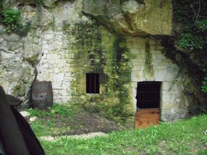 La cave du vigneron et une dégustation.