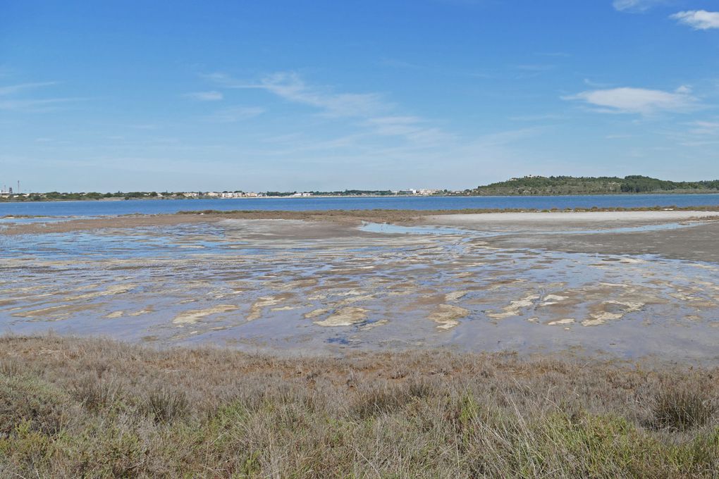 2023-05-04 Tour de l'Etang de l'Estomac