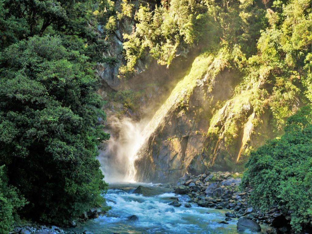 Hollyford track