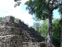 Sur le chemin du retour : Coba