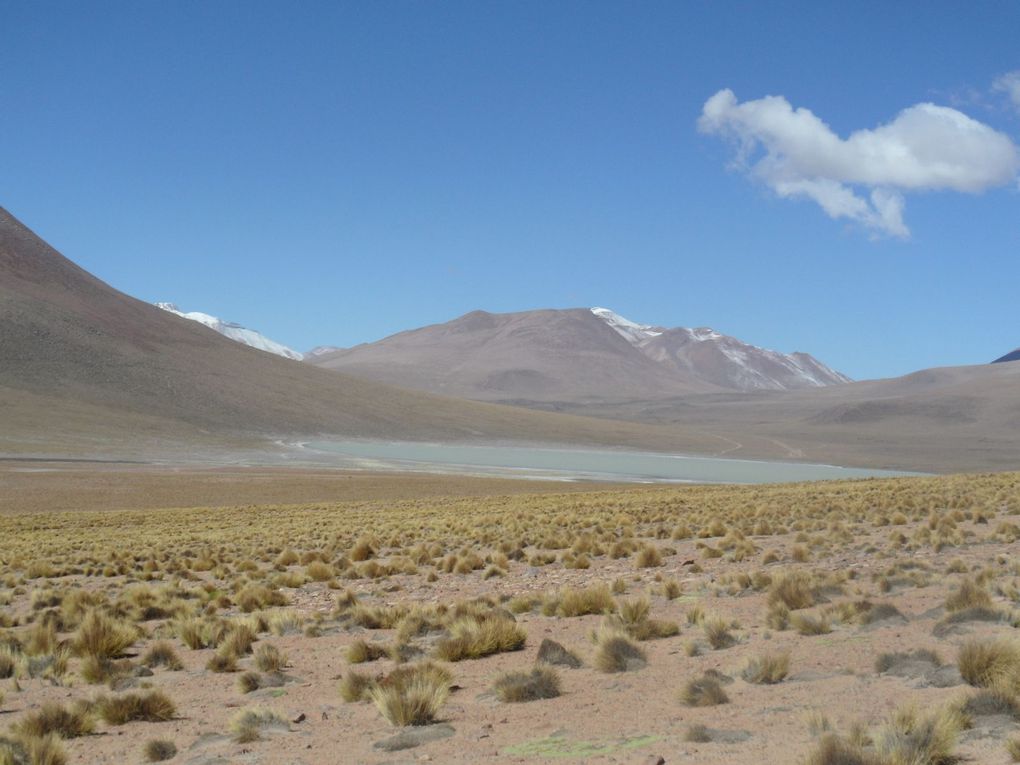 Album - Uyuni-et-ses-environs