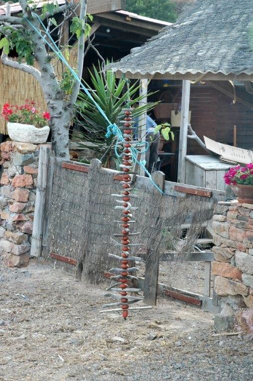 Un florilège de cette escale avec une belle ballade à pied sur le chemin des douaniers