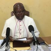 RDC : " La MONUSCO n'est qu'un arbre qui cache la forêt ", (Evêque d'Uvira)