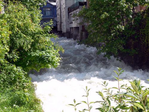 Cauterets au mois de mai.... paysages et fleurs sauvages !