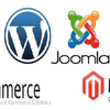 Joomla Development: The Advantages and Disadvantages in CMS Features