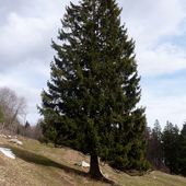 Le blog de nathalie-16