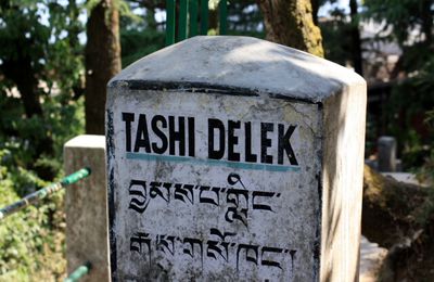 Le tour du stupa