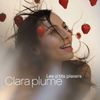 Clara Plume | Les p'tits plaisirs